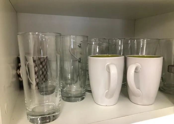 Artistic Neon 반스코