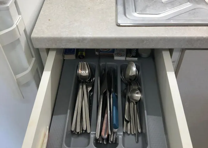 Artistic Neon 아파트 반스코